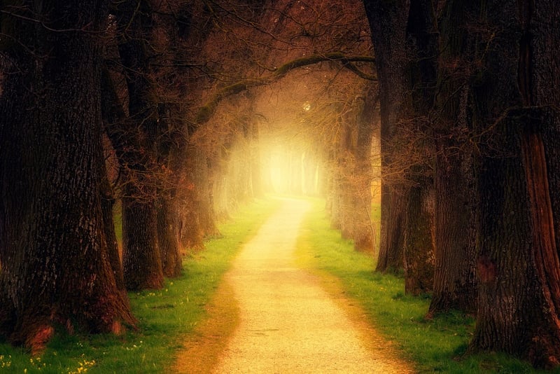 Magical Clearing
